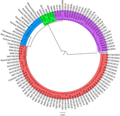 Vesicular stomatitis Indiana virus near-full-length genome sequences reveal low genetic diversity during the 2019 outbreak in Colorado, USA